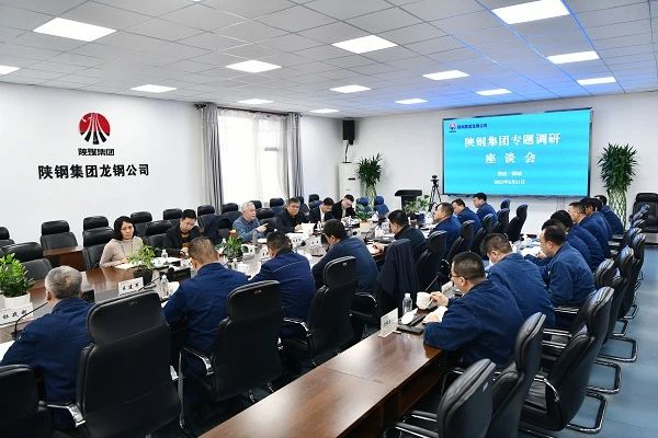 楊海峰專題調研龍鋼公司產品結構調整及高質量發展工作