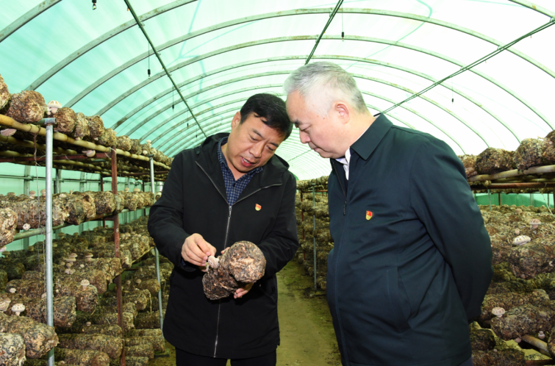 楊海峰到綏德縣西直溝村開展助力鄉村振興工作調研