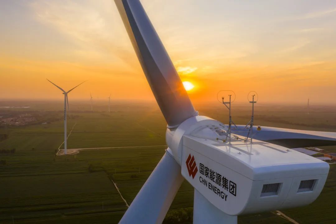 “禹龍”鋼材賦能國能白水風電項目，鑄就綠色能源合作典范
